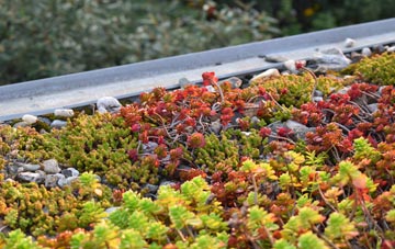 the cost of Welsh Newton Common green roof installation