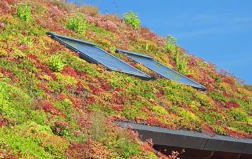 Welsh Newton Common living roof systems