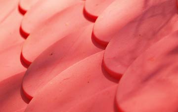 Welsh Newton Common plastic roof costs