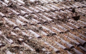 Welsh Newton Common roof cleaning companies