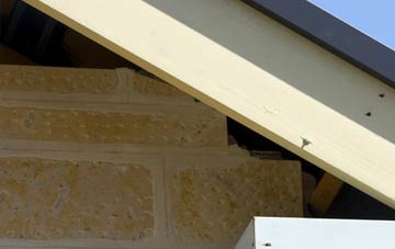 soffit repair Welsh Newton Common