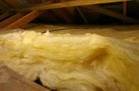 Welsh Newton Common pitch roof insulation