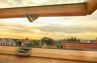 rated Welsh Newton Common roof window companies